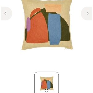 *RARE* Cold Picnic Pillow Case (17x17)